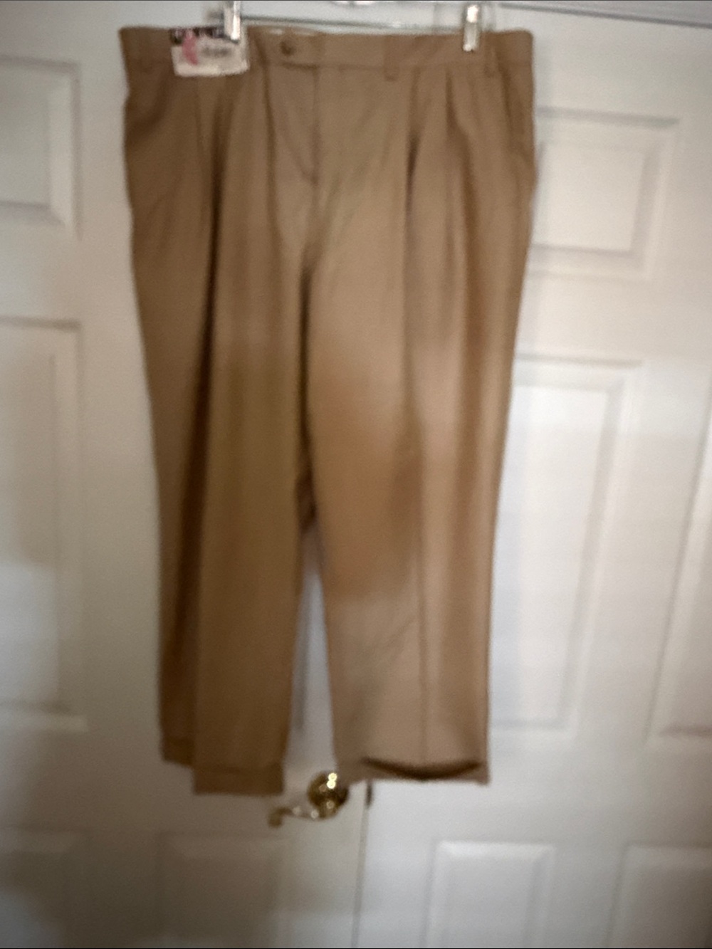 Men's Classic Pleated Dress Pants by Ralph by Ralph Lauren - Tan 40 by 29
